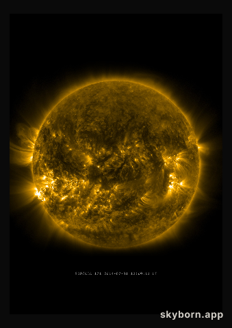 The Sun on 31 July 2014