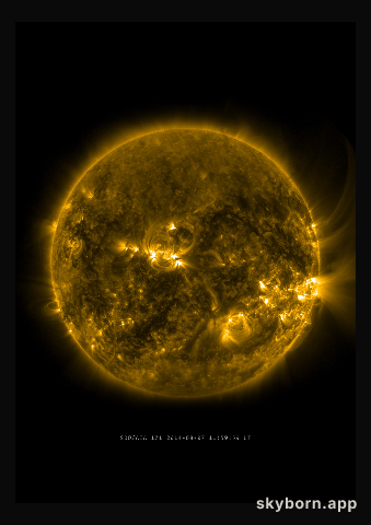 The Sun on 7 August 2014