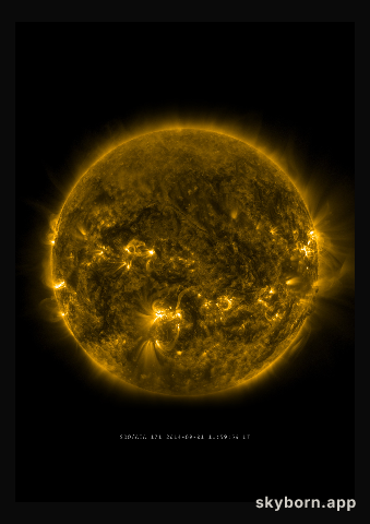 The Sun on 1 September 2014
