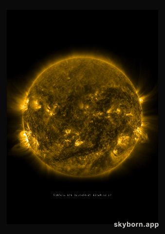 The Sun on 5 September 2014