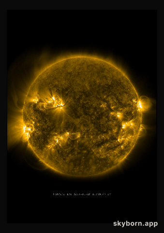 The Sun on 8 November 2014