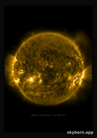 The Sun on 24 November 2014