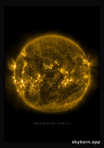 The Sun on 13 December 2014