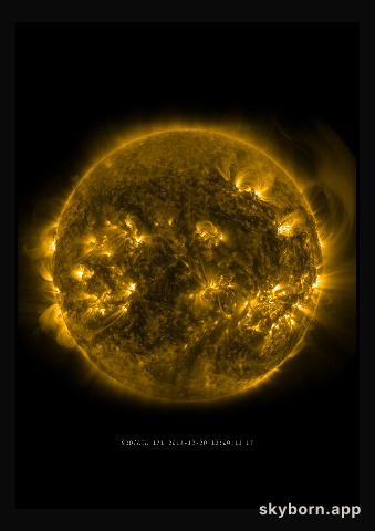 The Sun on 20 December 2014