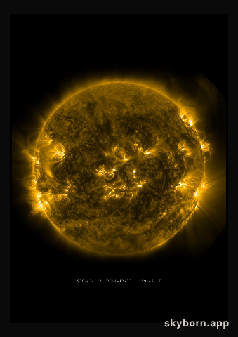 The Sun on 23 December 2014