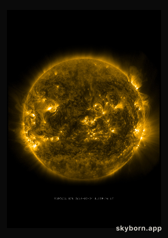The Sun on 24 December 2014