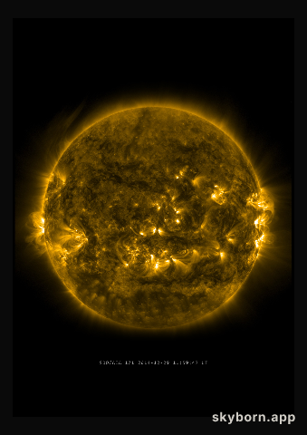 The Sun on 29 December 2014