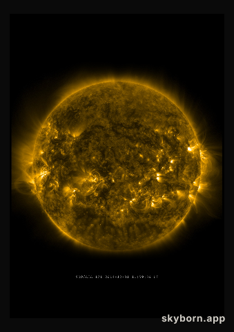 The Sun on 31 December 2014