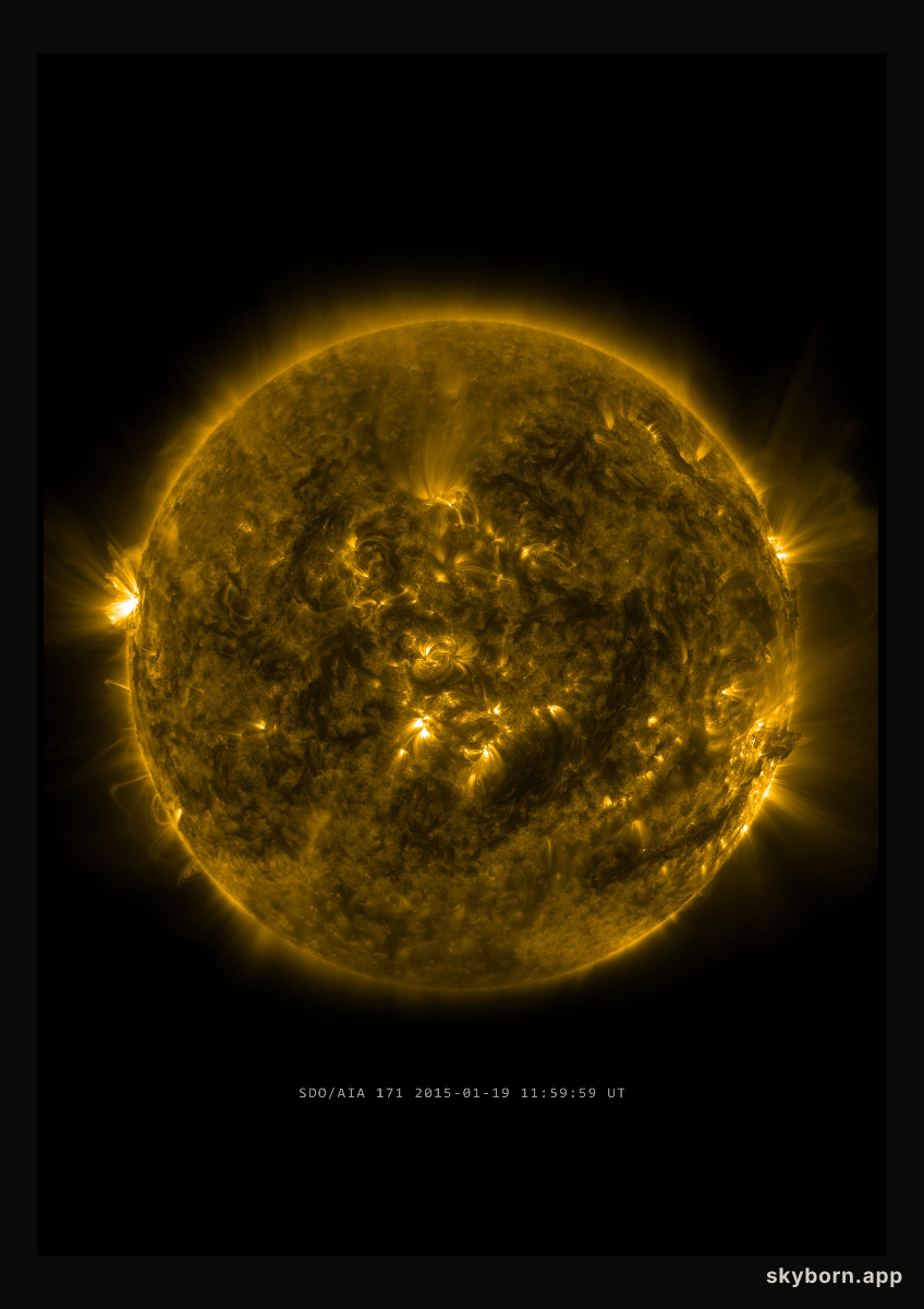 The Sun on 19 January 2015