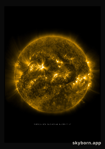 The Sun on 1 February 2015