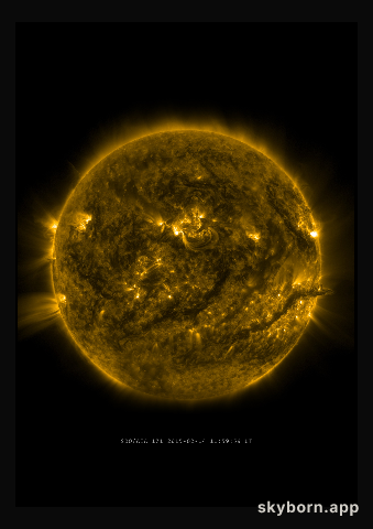 The Sun on 14 February 2015
