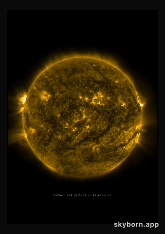 The Sun on 15 February 2015