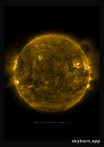 The Sun on 24 July 2015