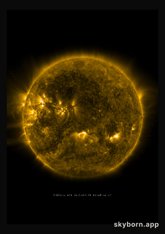 The Sun on 29 July 2015