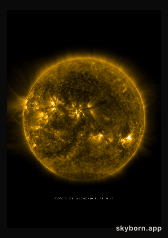 The Sun on 30 July 2015