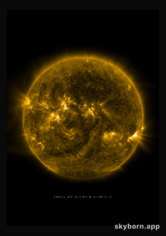 The Sun on 31 July 2015
