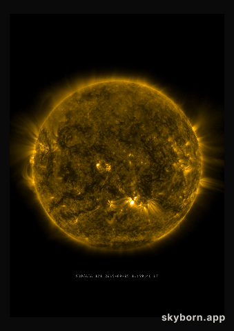 The Sun on 5 September 2015