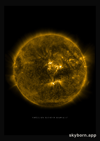 The Sun on 28 December 2015