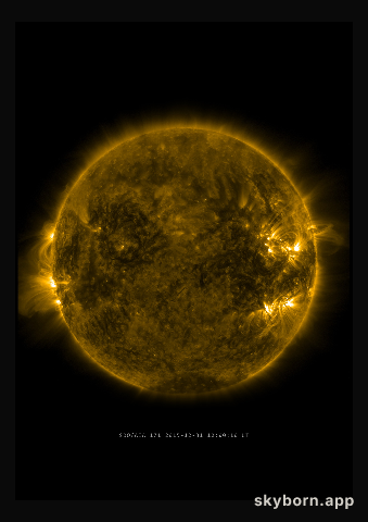 The Sun on 31 December 2015