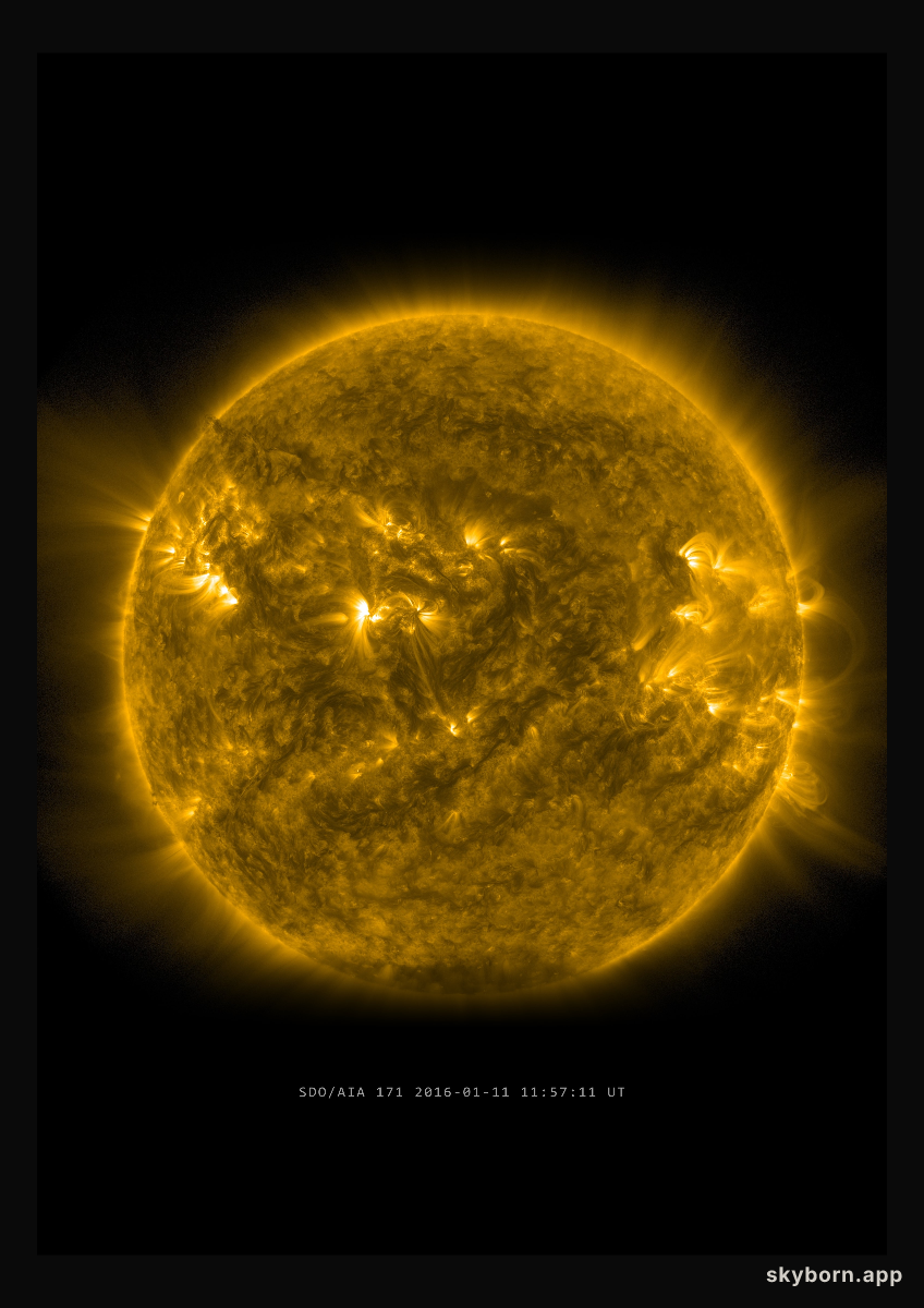 The Sun on 11 January 2016