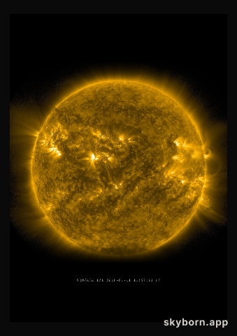 The Sun on 11 January 2016