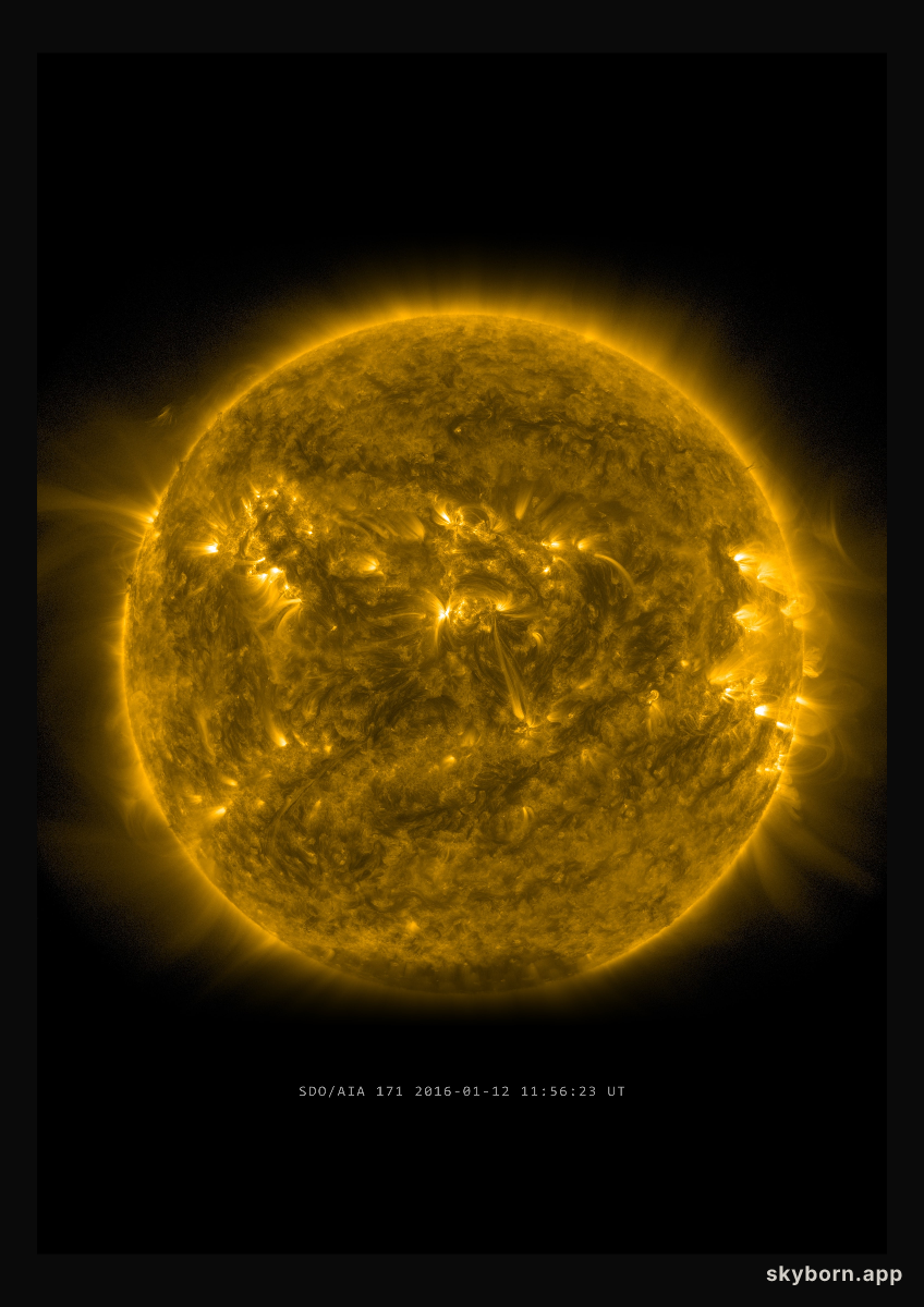 The Sun on 12 January 2016
