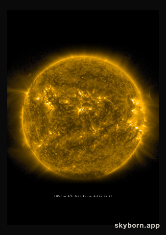 The Sun on 12 January 2016