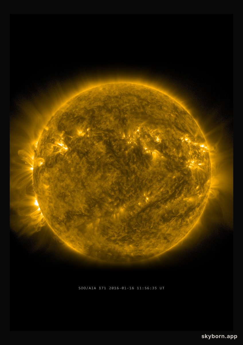 The Sun on 16 January 2016