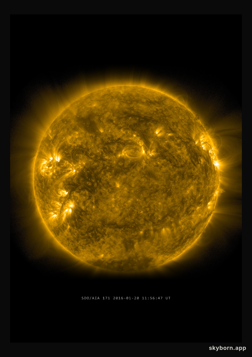 The Sun on 20 January 2016