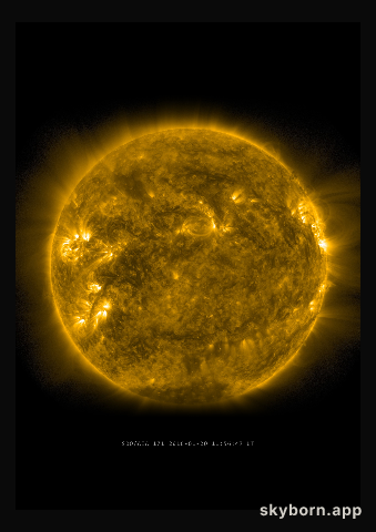 The Sun on 20 January 2016