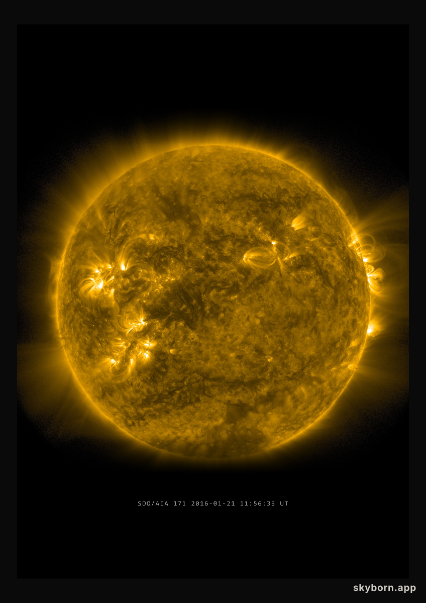 The Sun on 21 January 2016