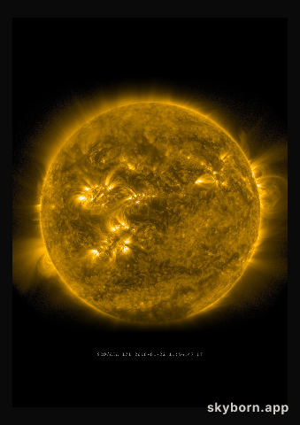 The Sun on 22 January 2016