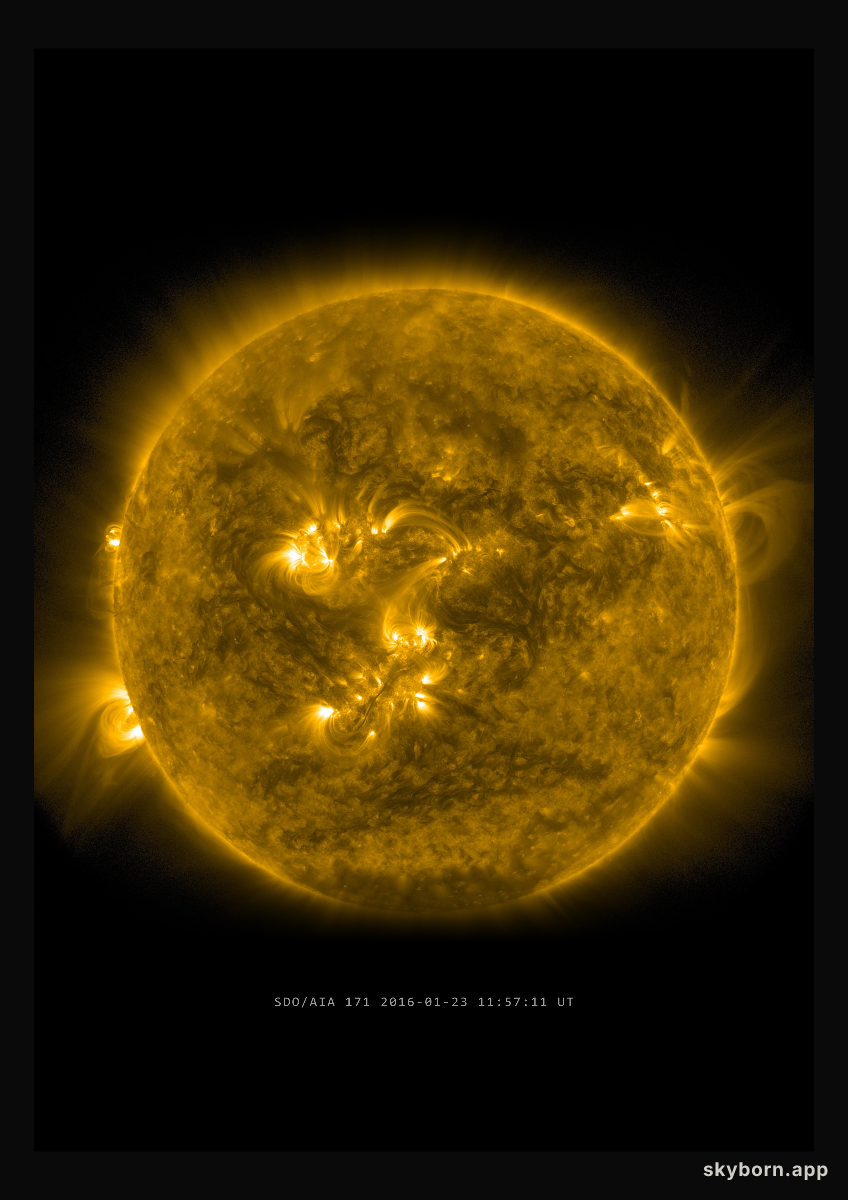 The Sun on 23 January 2016