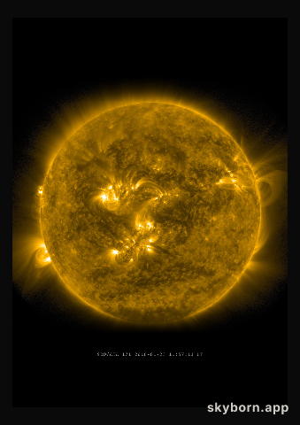 The Sun on 23 January 2016