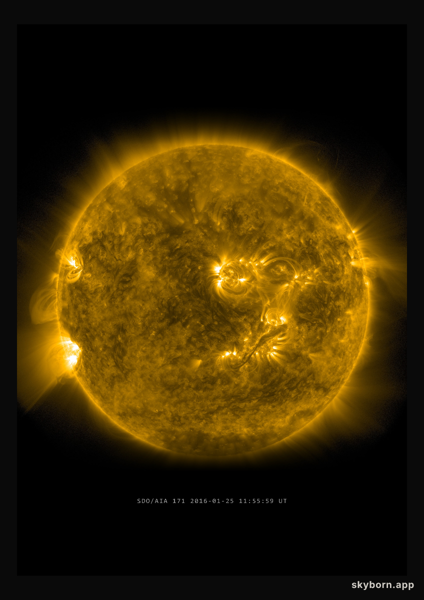 The Sun on 25 January 2016