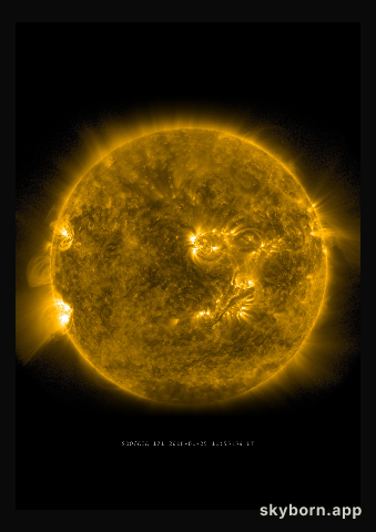 The Sun on 25 January 2016