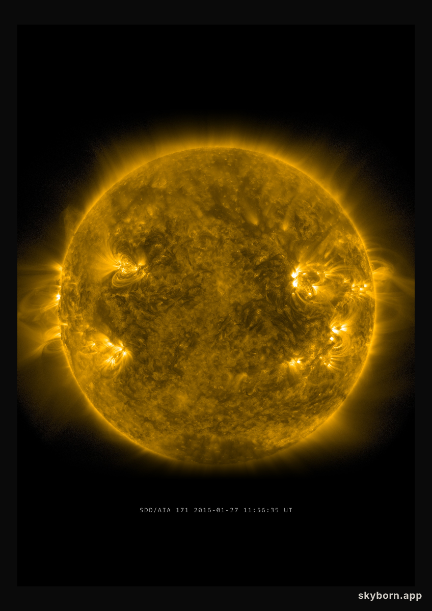 The Sun on 27 January 2016