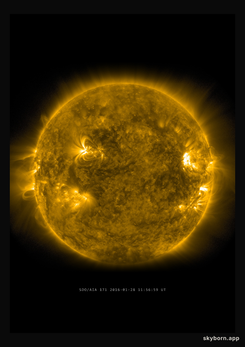 The Sun on 28 January 2016