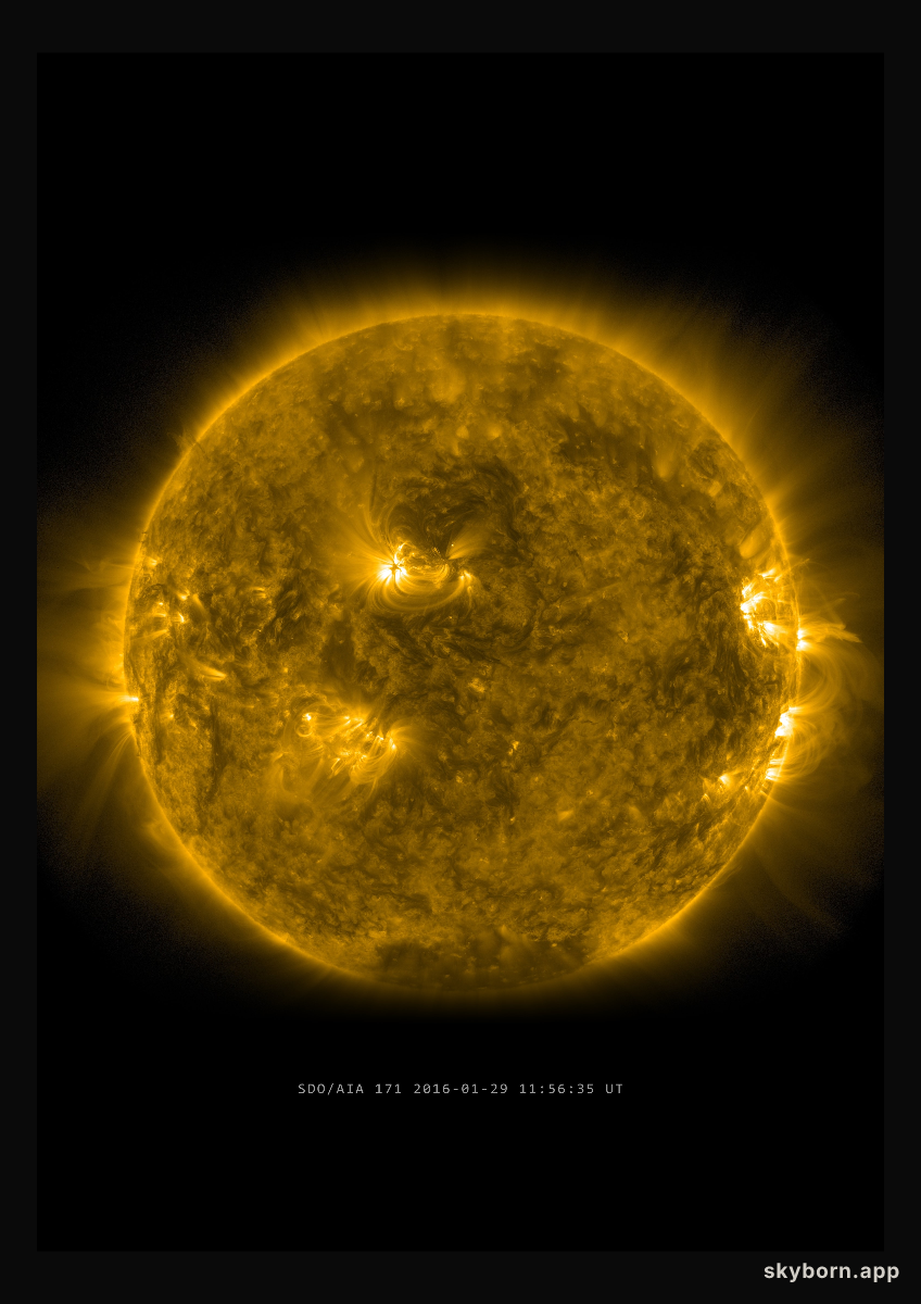 The Sun on 29 January 2016