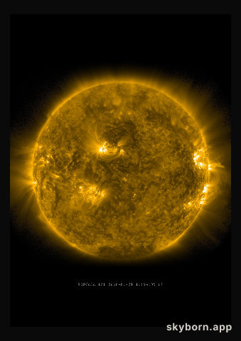 The Sun on 29 January 2016