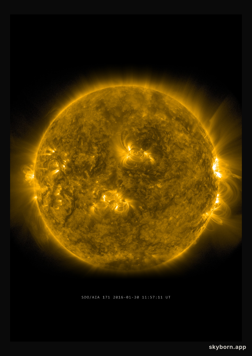 The Sun on 30 January 2016