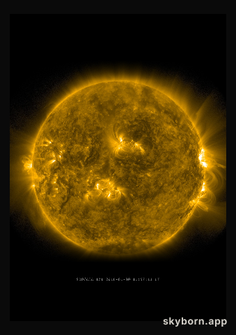 The Sun on 30 January 2016
