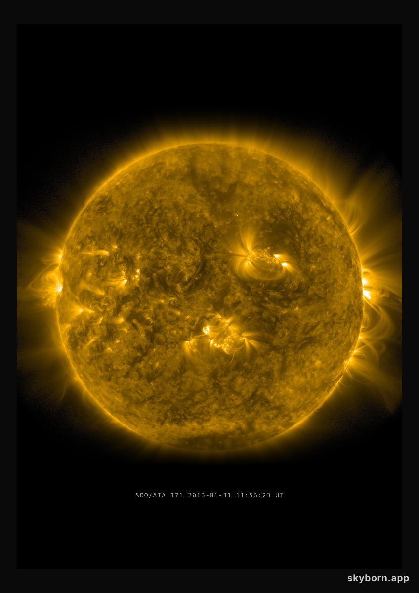 The Sun on 31 January 2016