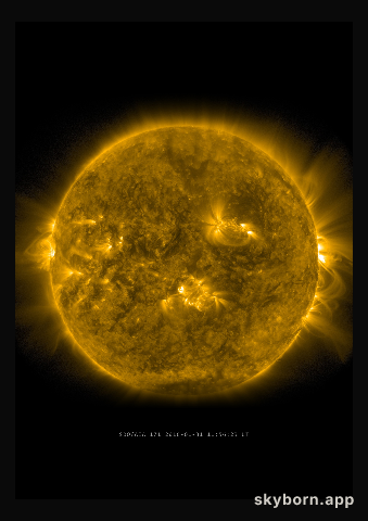 The Sun on 31 January 2016