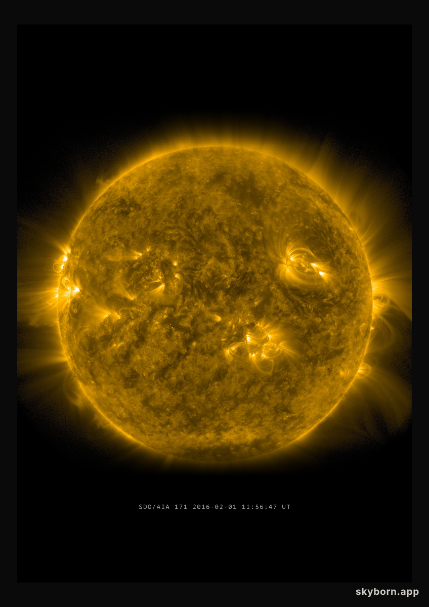 The Sun on 1 February 2016