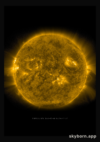 The Sun on 1 February 2016
