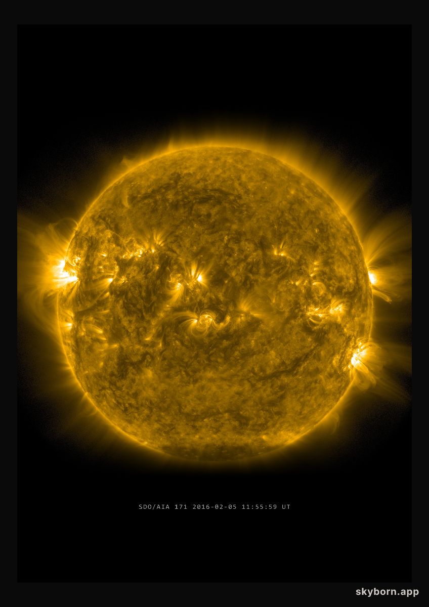 The Sun on 5 February 2016
