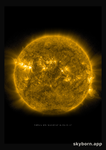 The Sun on 7 February 2016
