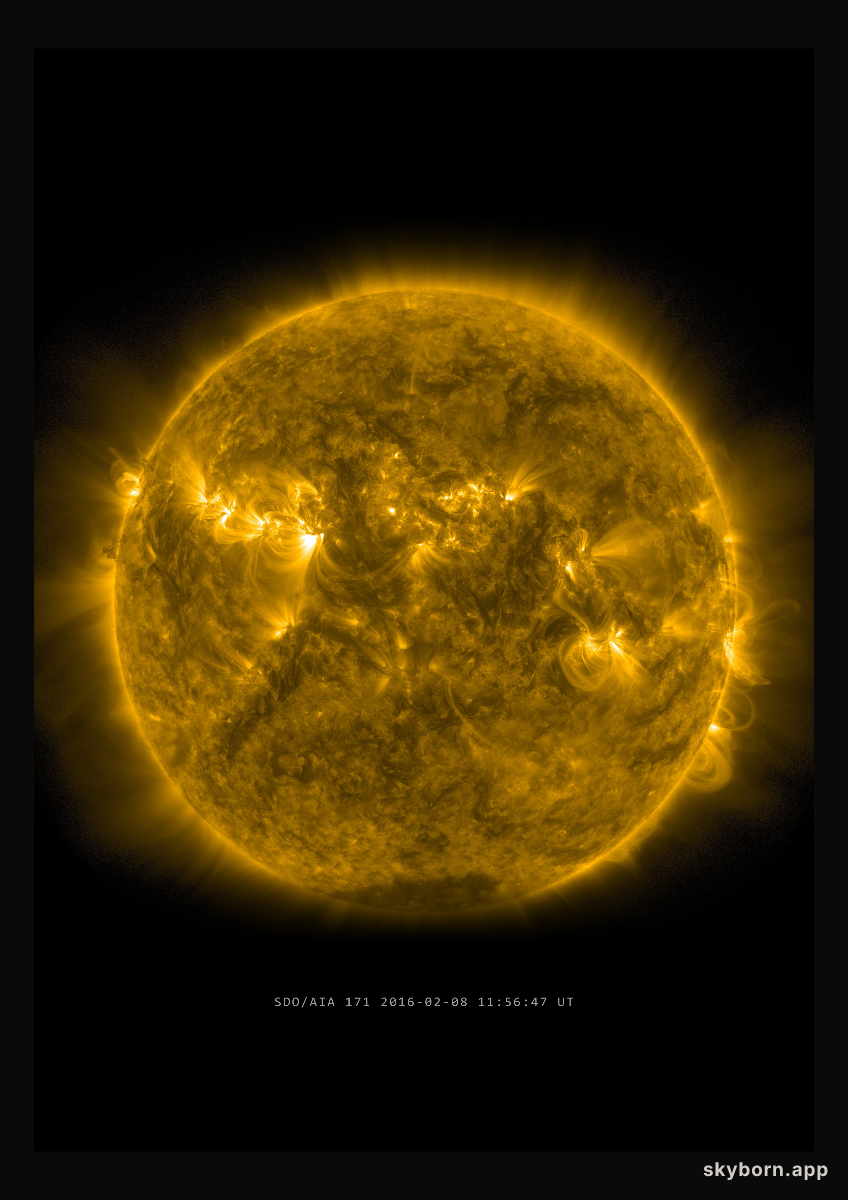 The Sun on 8 February 2016