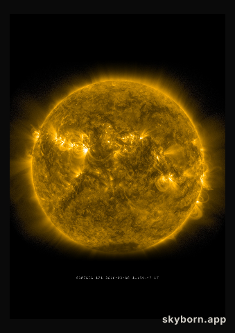 The Sun on 8 February 2016
